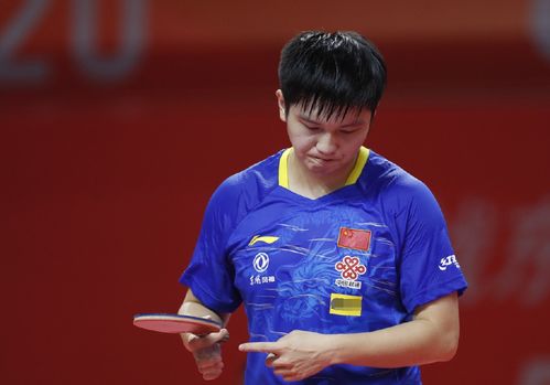 不容忽视的 不容忽视的