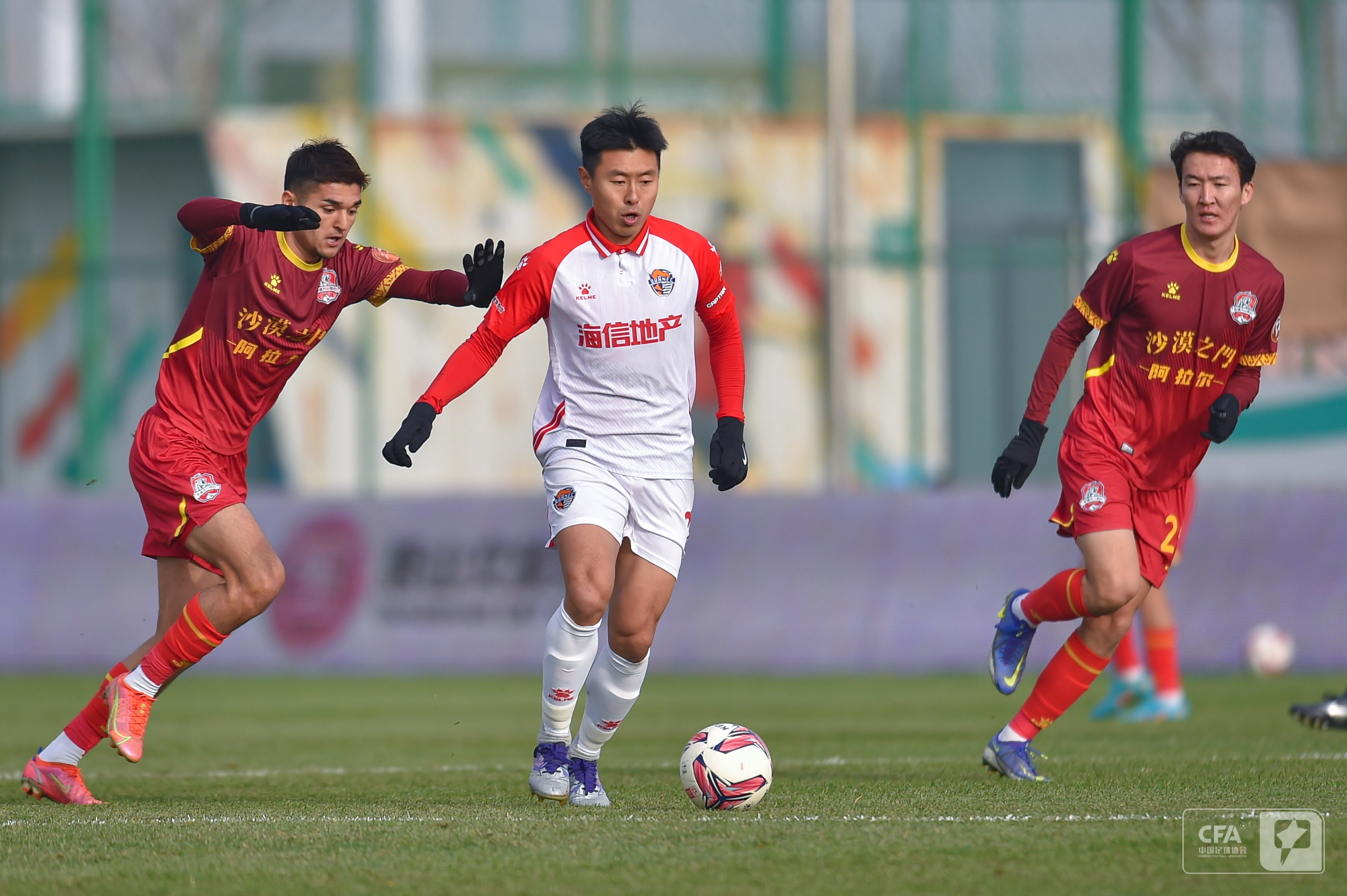 极寻找一名 极寻找一名